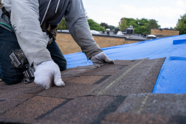 Best Storm Damage Roof Repair  in Dayton, VA